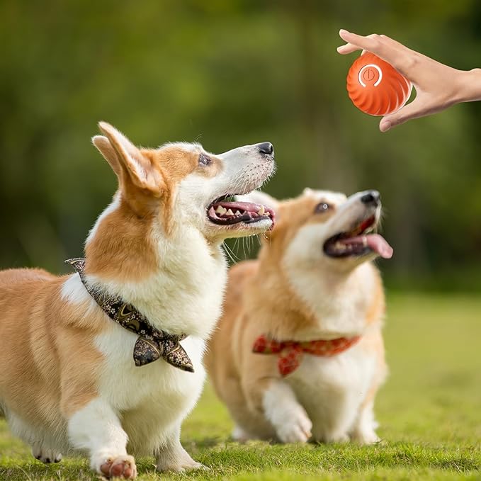 BarkBounce - Interactive Dog Teasing Ball