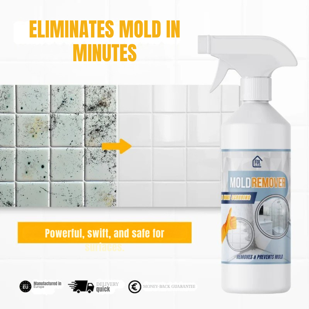 MoldDefy™ — Banish Mold Fast and Keep Your Home Fresh, Safe, and Welcoming