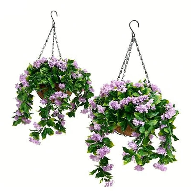 purple(1pc)