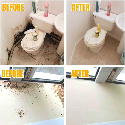 MoldDefy™ — Banish Mold Fast and Keep Your Home Fresh, Safe, and Welcoming